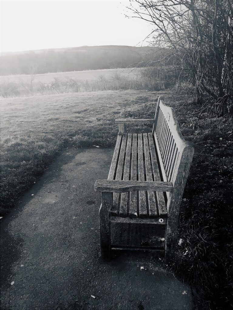 Bench and landscape