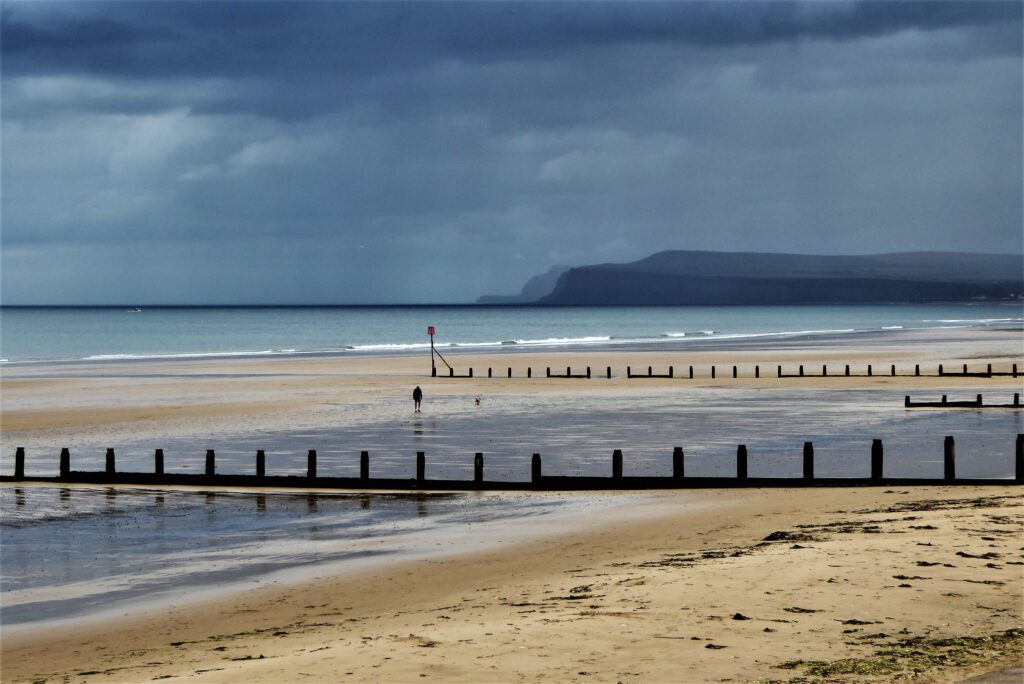 Beach and groynes with cliff in background