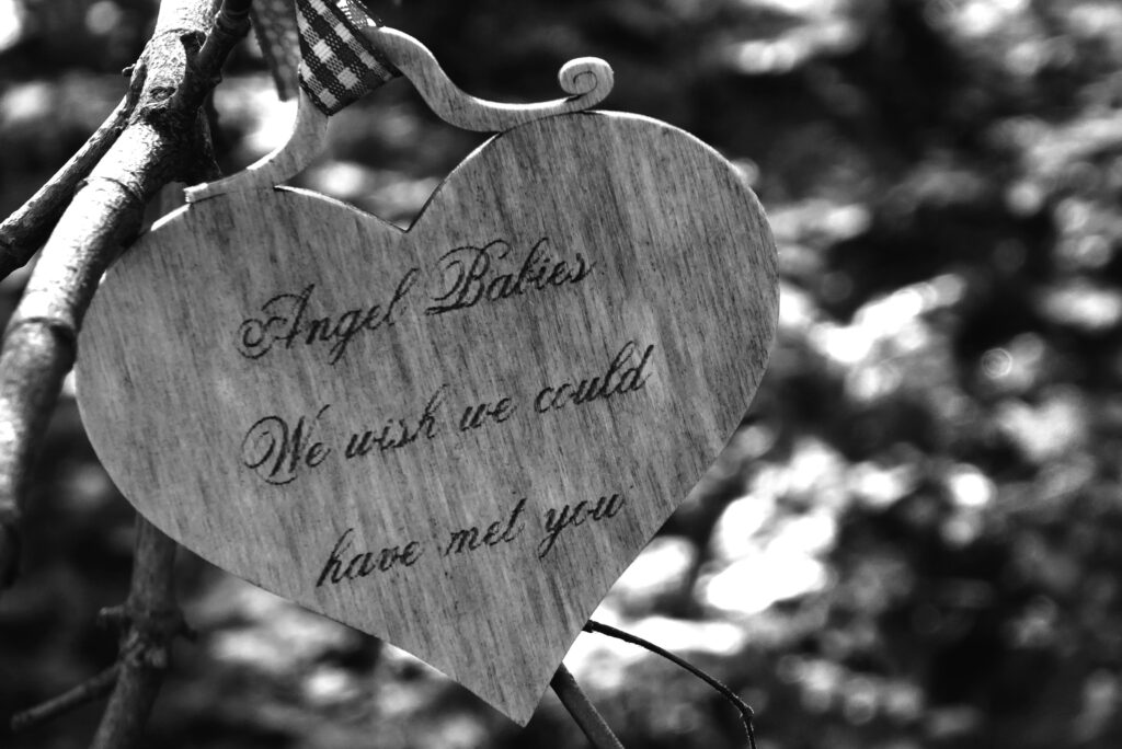 Wooden heart with inscription tied to branch