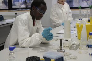 PARTNERs Student working in the lab