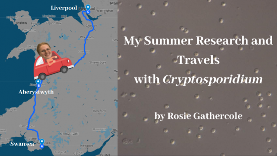My Summer Travels with Cryptosporidium