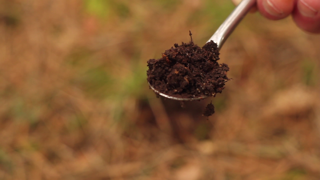 A photograph of a spoon of soil taken in a forest, with trees in the background