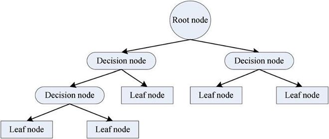 Decision node. Root node.