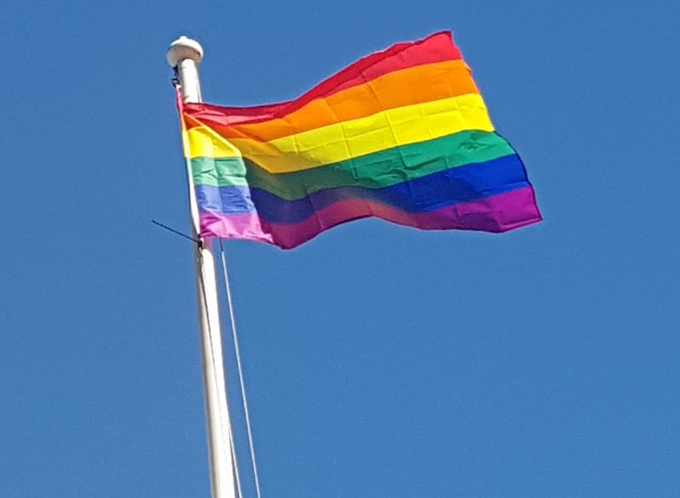 Flying the Flag for Northern Pride FMS Diversity