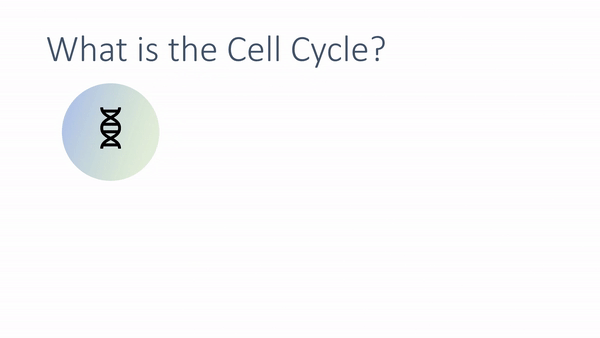 slide showing cells splitting