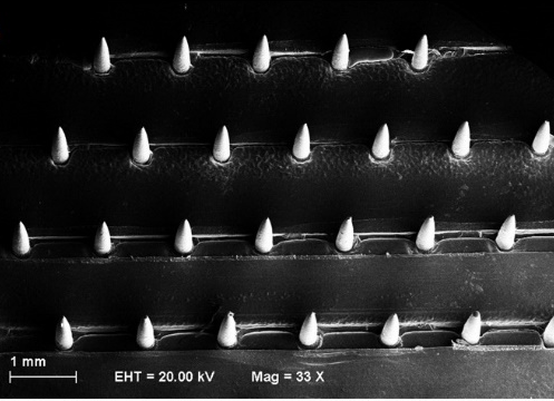 SEM image of microneedle array biosensor