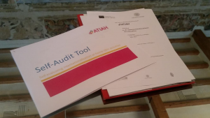 Image of Self Audit Tool document