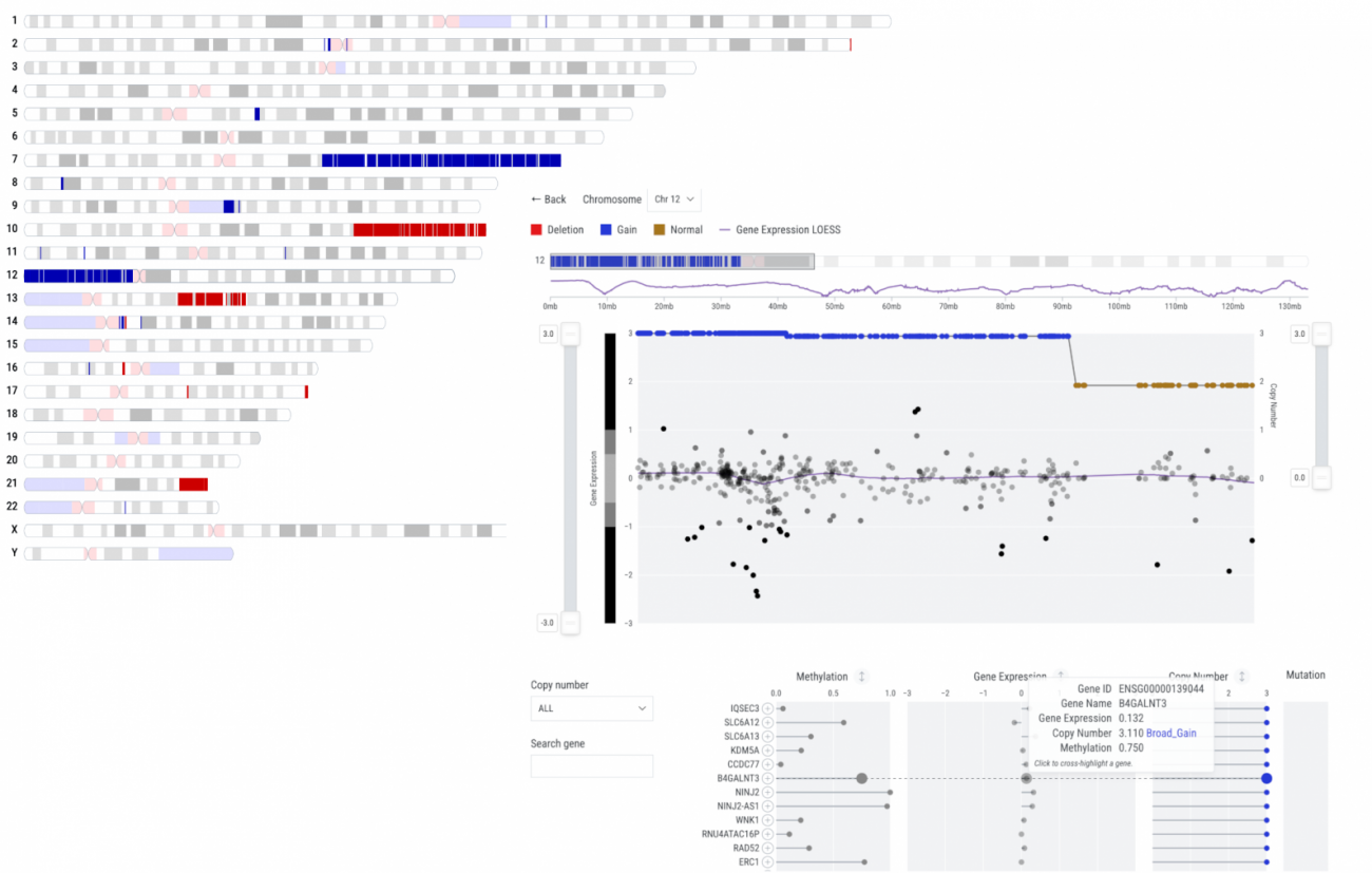 Visualization of chromosomes, gene expression, methylation, copy number