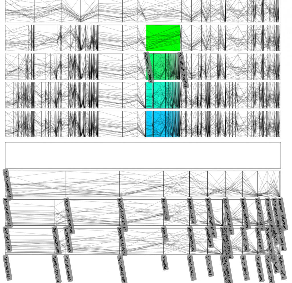 The IPCP visualization with a zoomed in subset