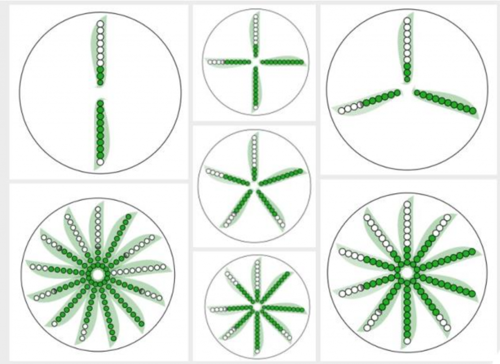 The PeaGlyph multivariate visualization.