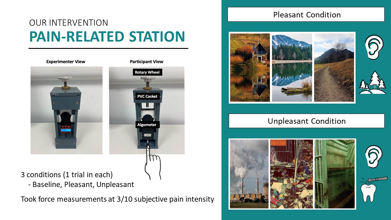 Can we improve pain education using experiential methods? – Newcastle ...