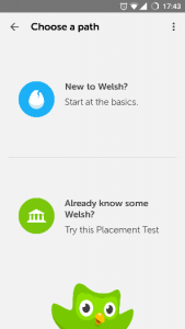 duolingo-1