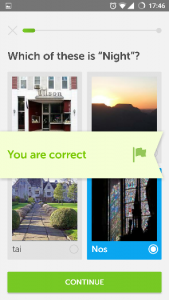 duolingo-3