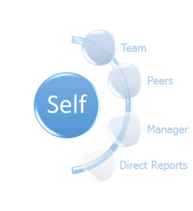 SelfTeamPeersManager graphic
