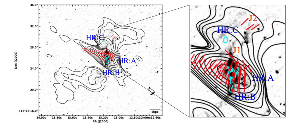 Polarization radio data for J1000+1242 from Silpa, S. et al. 2022