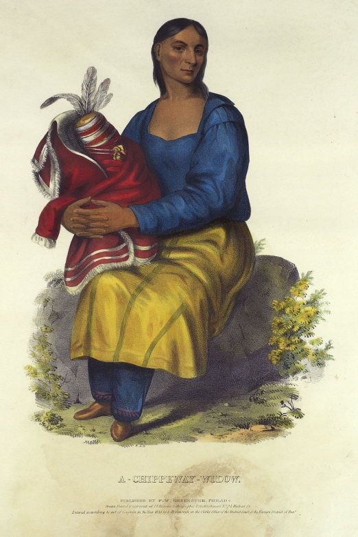 Illustration of 'A Chippeway Widow'