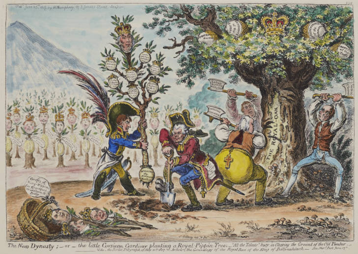 This print depicts Napoleon planting new dynasties in his expanding Empire with the help of his his Minister of Foreign Affairs Talleyrand. The Pippin Tree represents the genealogy of Lord Moira, who was seen as a Whig overly sympathetic to the French and boastful of his own supposed royal lineage.  The ""Royal Oak"" of British constitutionalism is hacked at by supposed domestic sympathisers; fellow Whig MPs Lord Howick, Lord Grenville, and the Marquis of Buckingham.