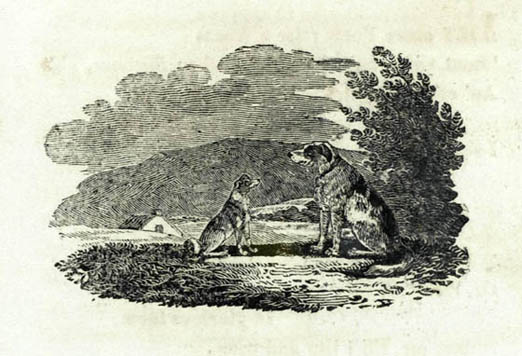 Enraving of two dogs on wood by Thomas Bewick