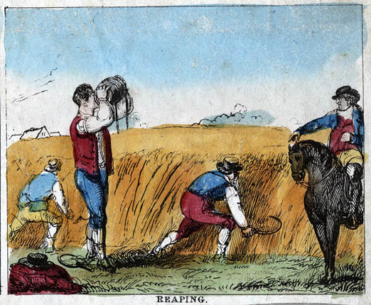 Illustration of mean in a field reaping the crop