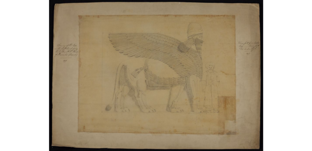 Mounted drawing of the Lion from Nimroud
