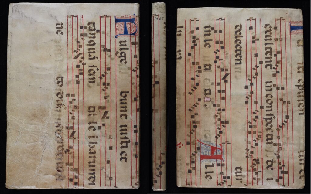 Paper Scraps in the Rare Book Collection