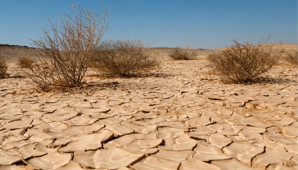 The Importance of Combating Desertification and Drought | STEM Newcastle