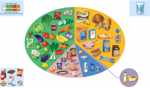 World Health Day – the Eatwell Plate | STEM Newcastle