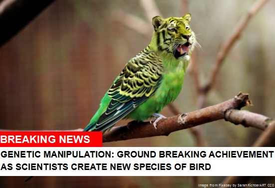Fake news story of a new species of bird. Picture shows a photoshopped tiger headed bird.